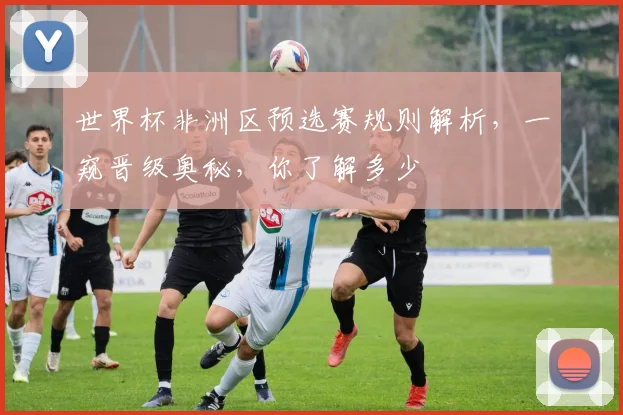 世界杯非洲区预选赛规则解析，一窥晋级奥秘，你了解多少
