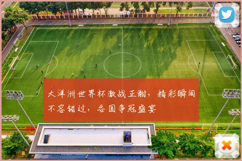 大洋洲世界杯激战正酣，精彩瞬间不容错过，各国争冠盛宴