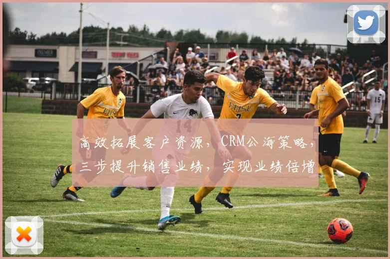 高效拓展客户资源，CRM公海策略，三步提升销售业绩，实现业绩倍增